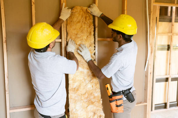 Best Attic Insulation Installation  in New Hyde Park, NY